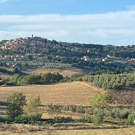 Podere Campo Alle Serpi Bibbona Ngoại thất bức ảnh