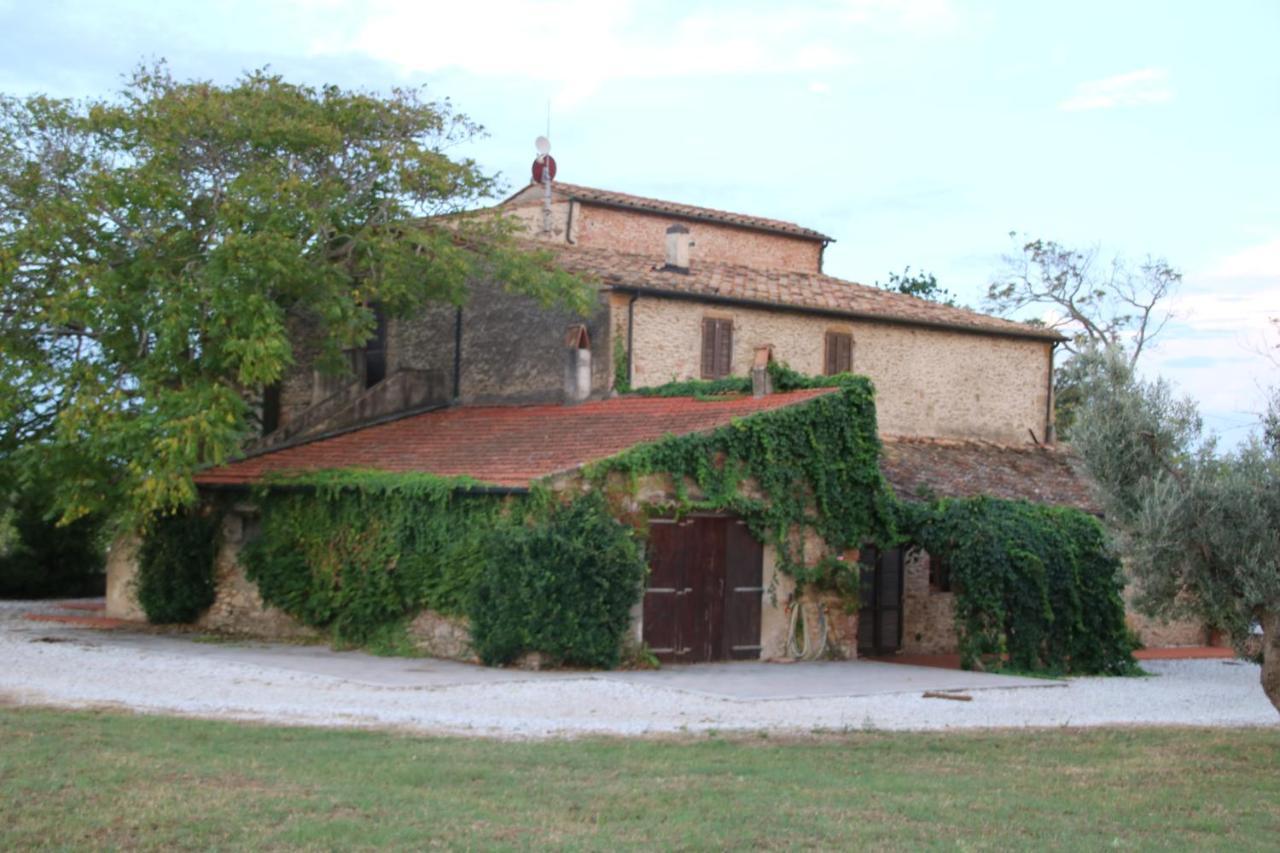 Podere Campo Alle Serpi Bibbona Ngoại thất bức ảnh