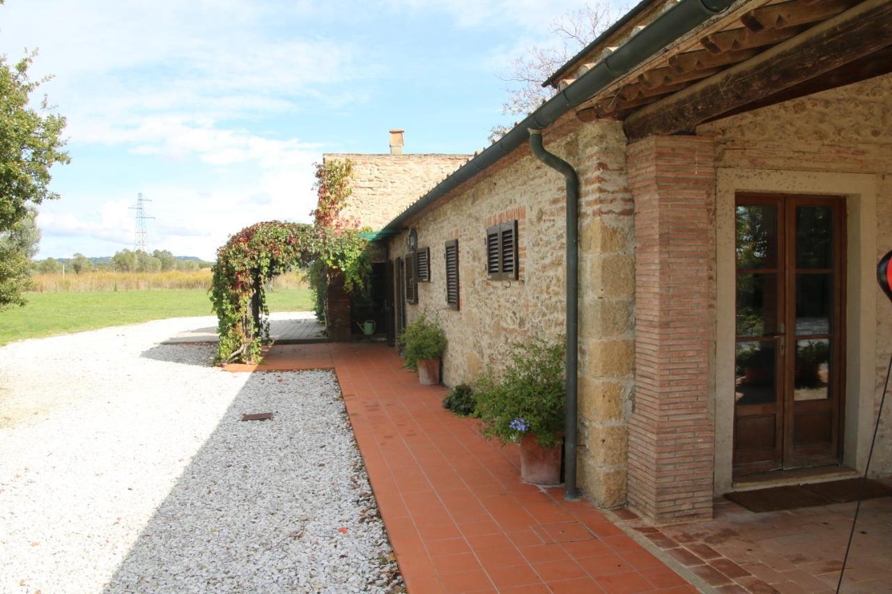 Podere Campo Alle Serpi Bibbona Ngoại thất bức ảnh