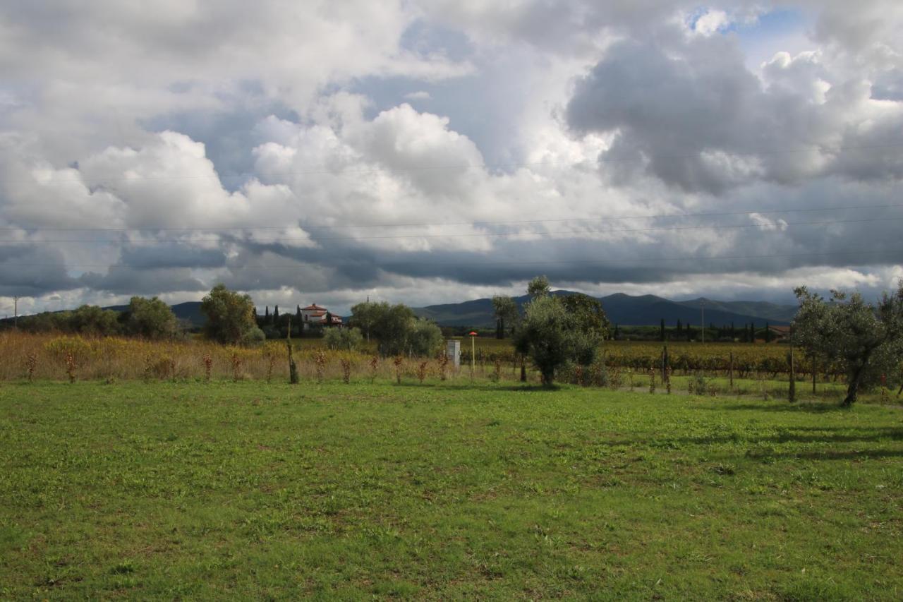 Podere Campo Alle Serpi Bibbona Ngoại thất bức ảnh