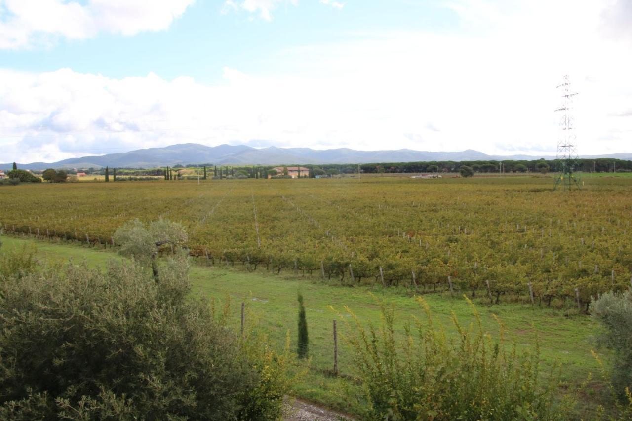 Podere Campo Alle Serpi Bibbona Ngoại thất bức ảnh