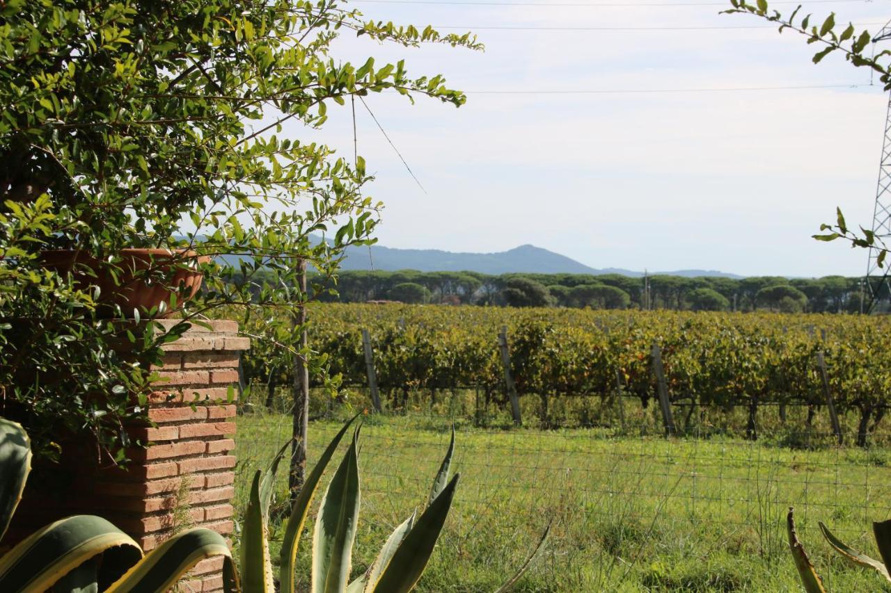 Podere Campo Alle Serpi Bibbona Ngoại thất bức ảnh