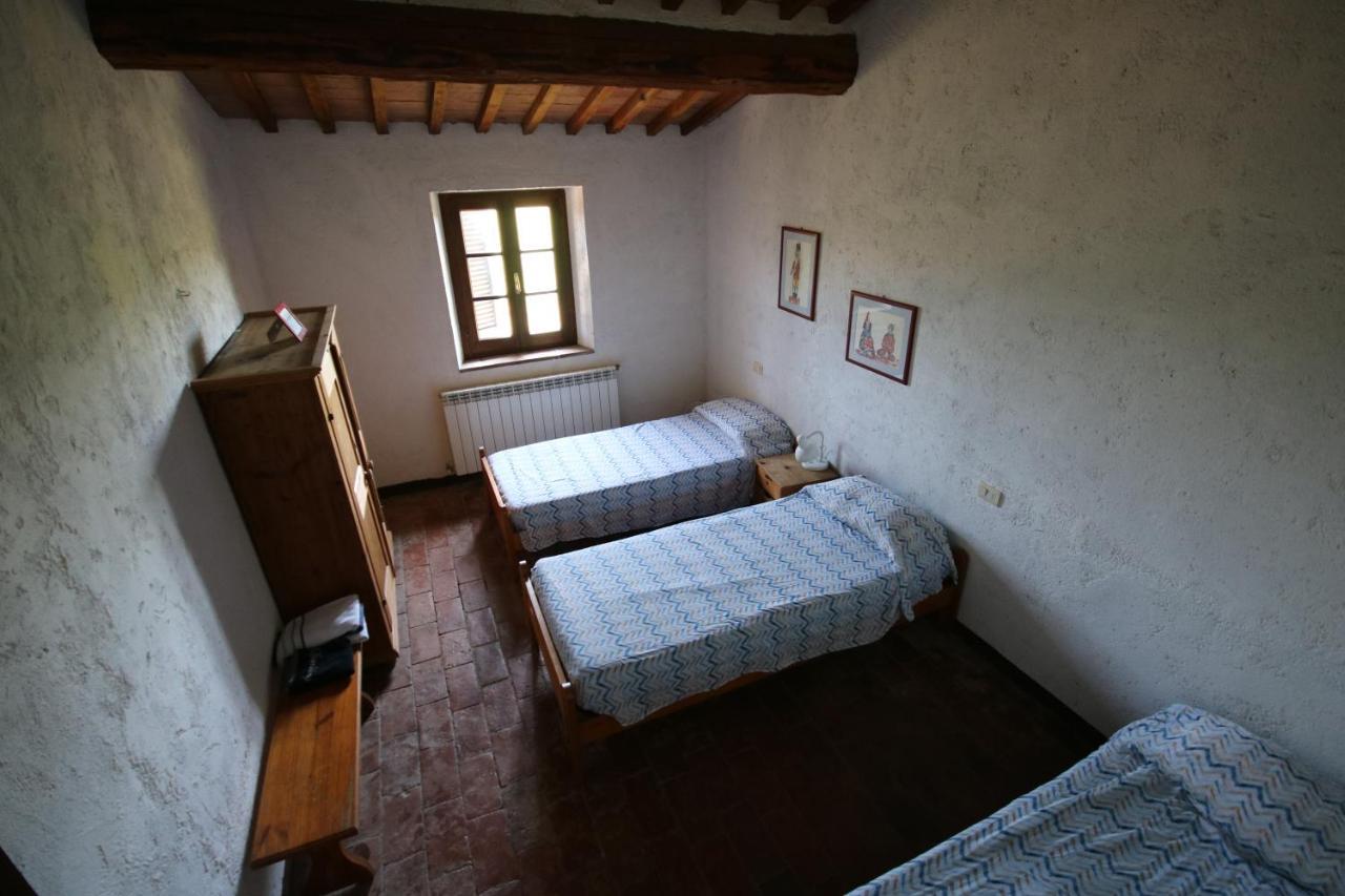 Podere Campo Alle Serpi Bibbona Ngoại thất bức ảnh