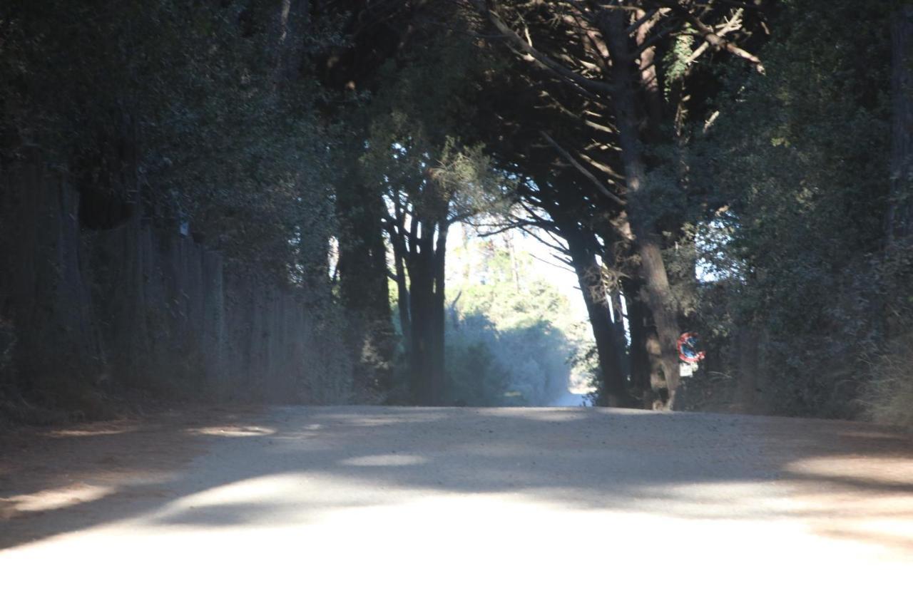 Podere Campo Alle Serpi Bibbona Ngoại thất bức ảnh