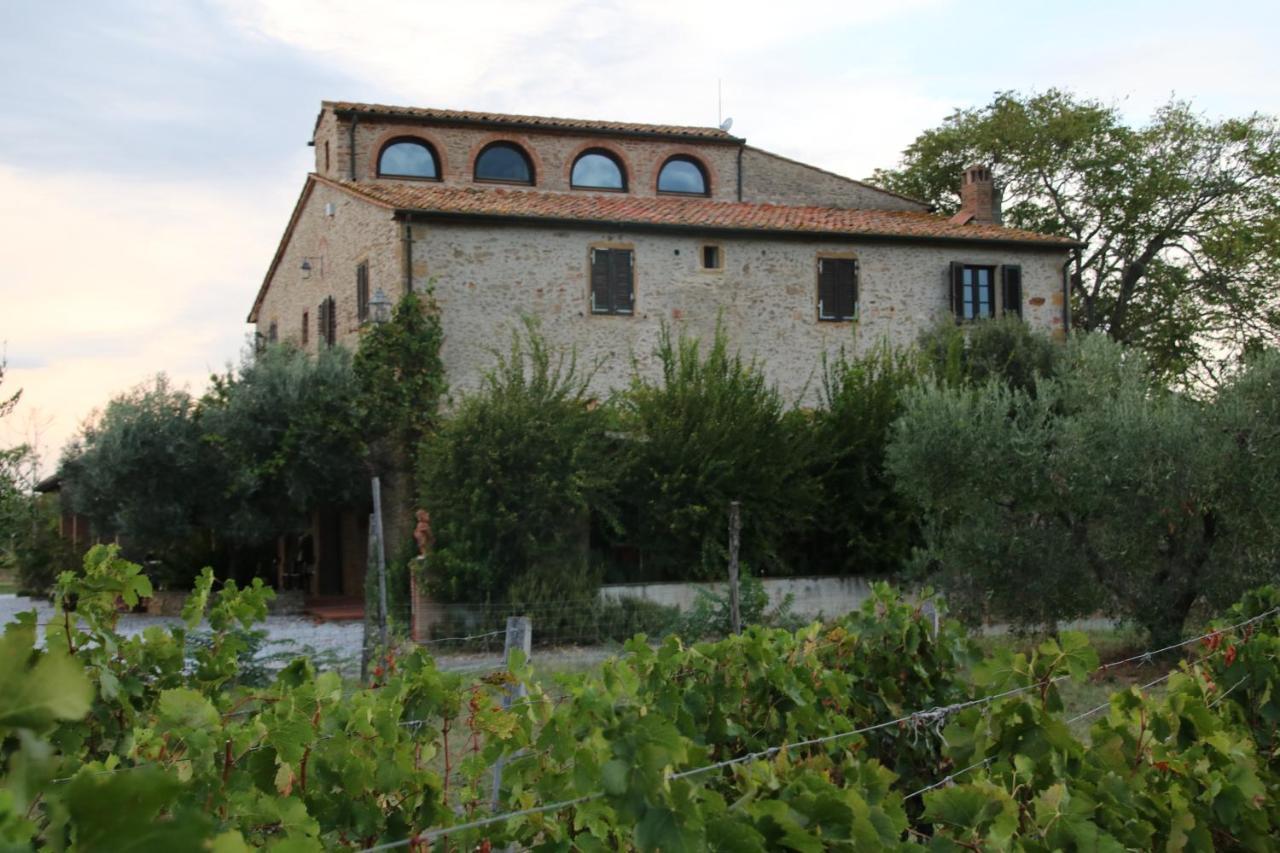 Podere Campo Alle Serpi Bibbona Ngoại thất bức ảnh