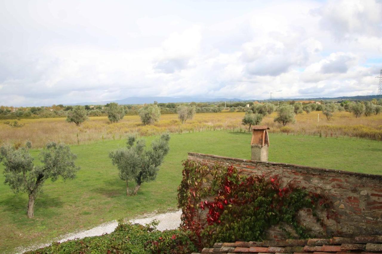 Podere Campo Alle Serpi Bibbona Ngoại thất bức ảnh