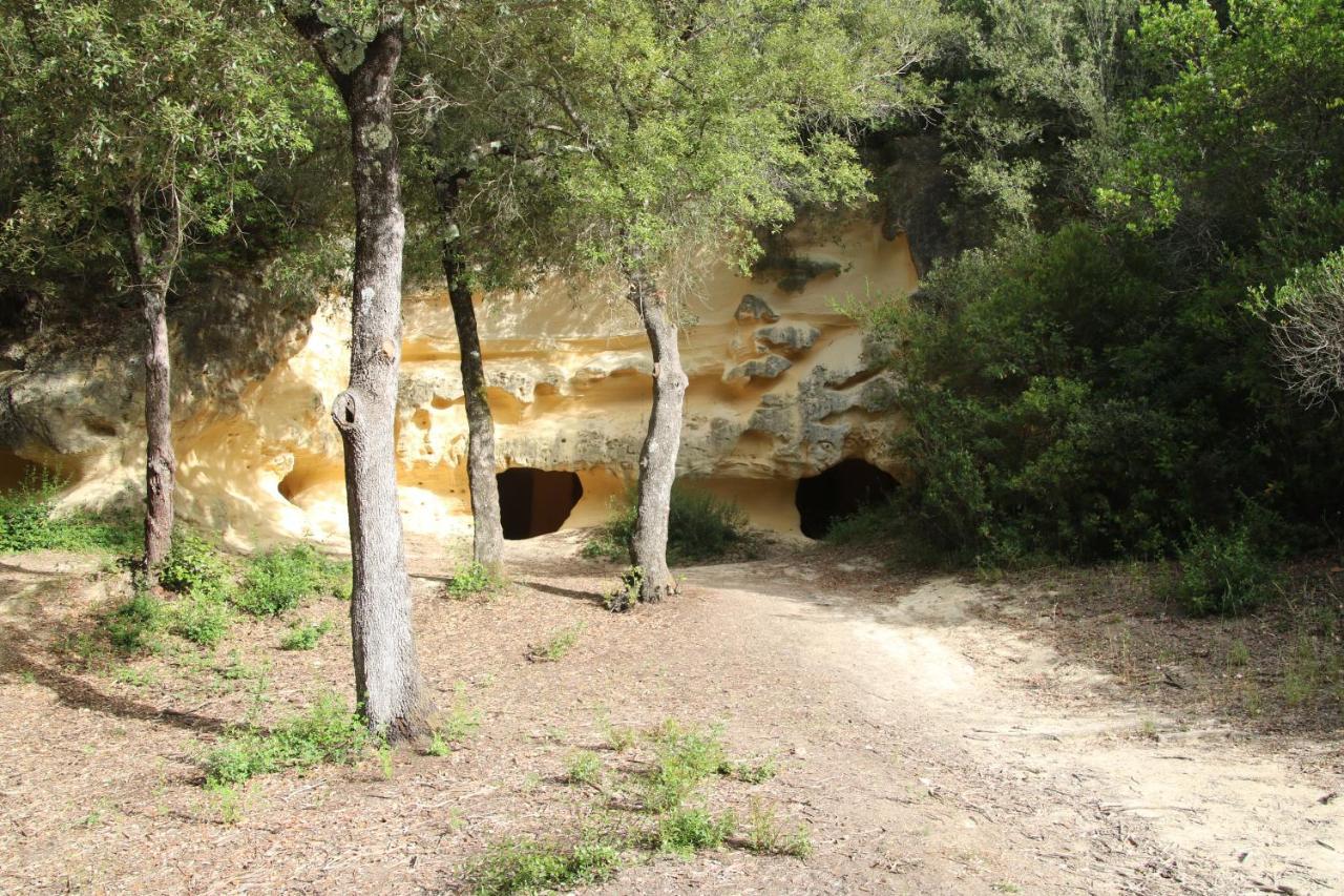 Podere Campo Alle Serpi Bibbona Ngoại thất bức ảnh