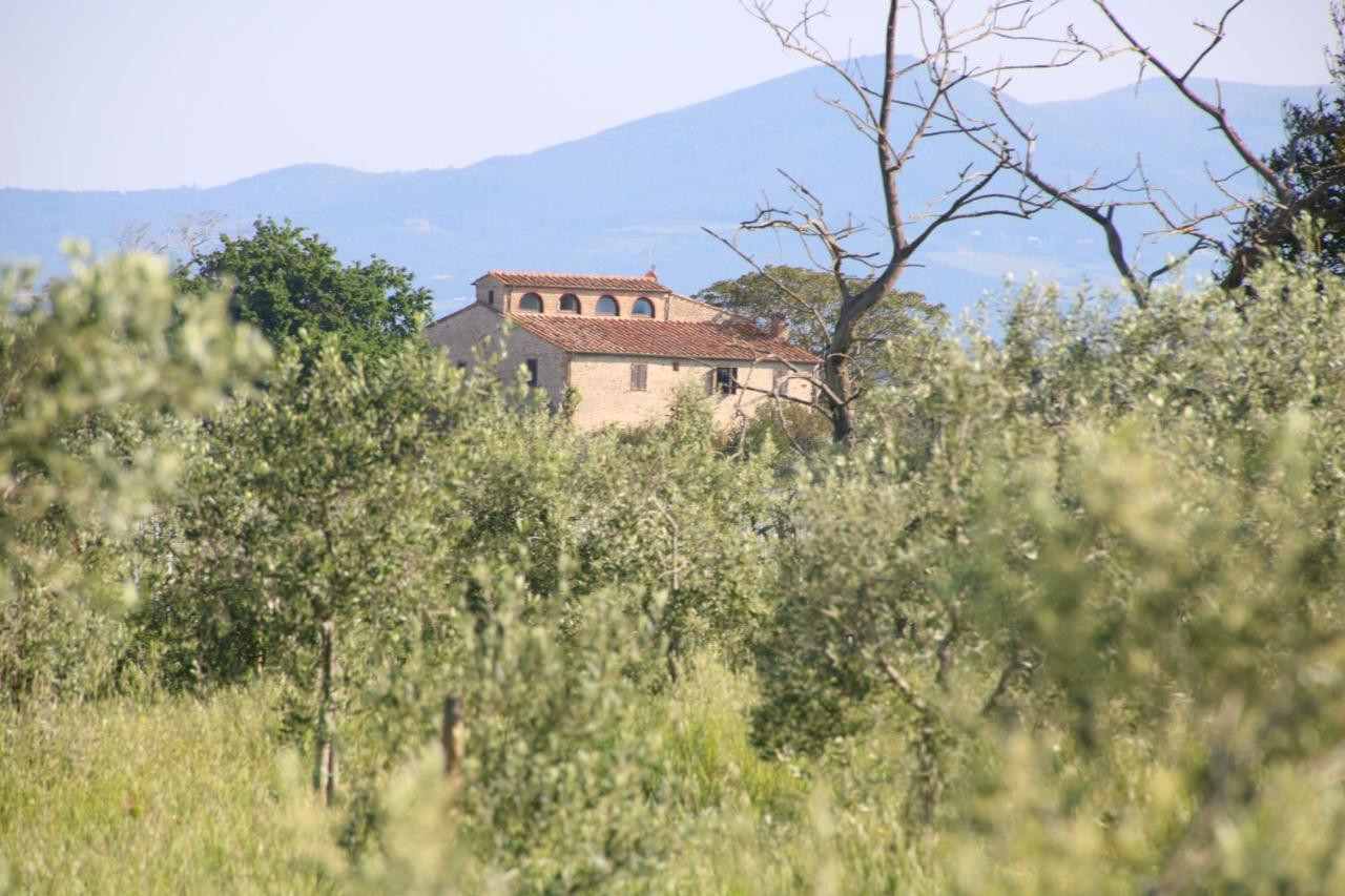 Podere Campo Alle Serpi Bibbona Ngoại thất bức ảnh