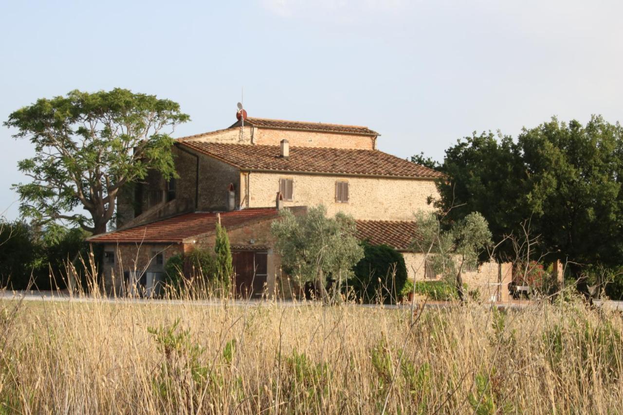 Podere Campo Alle Serpi Bibbona Ngoại thất bức ảnh