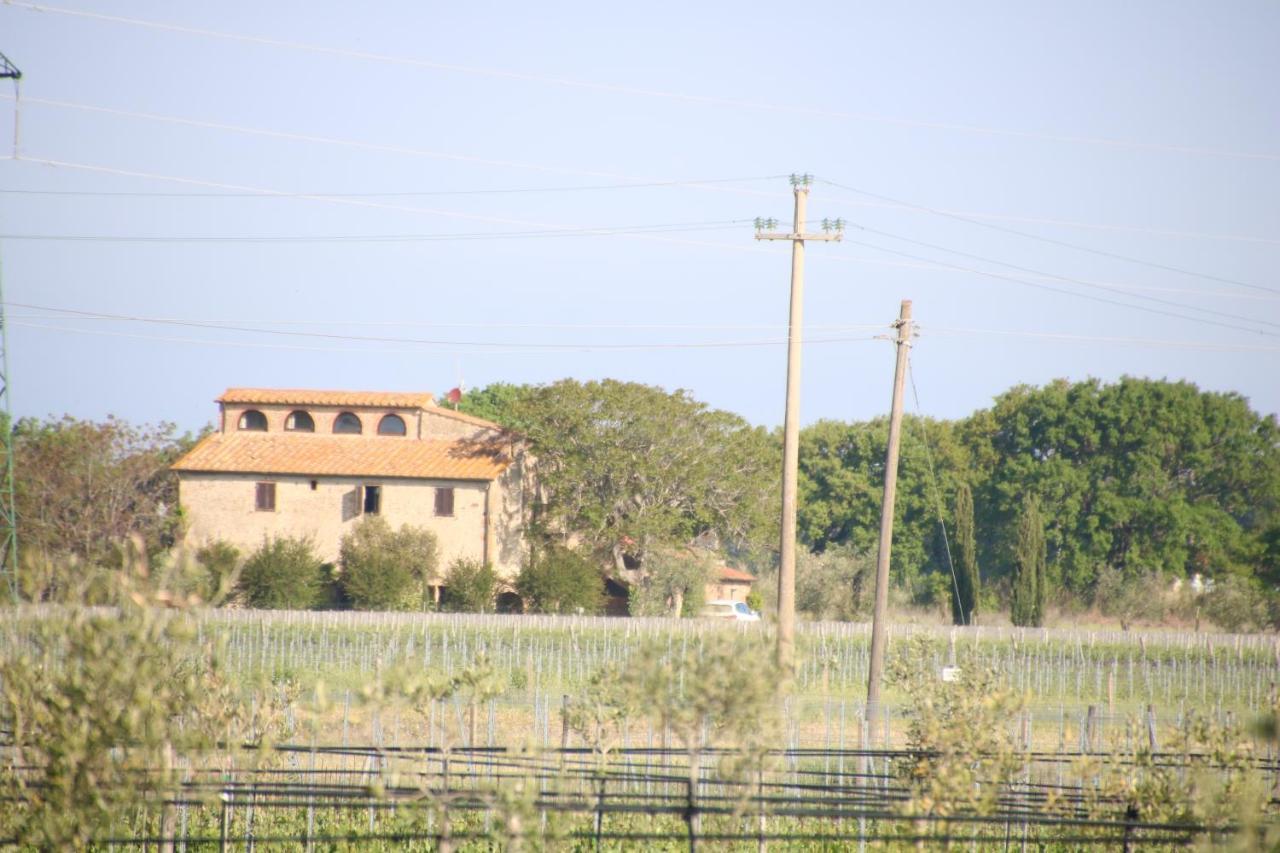 Podere Campo Alle Serpi Bibbona Ngoại thất bức ảnh