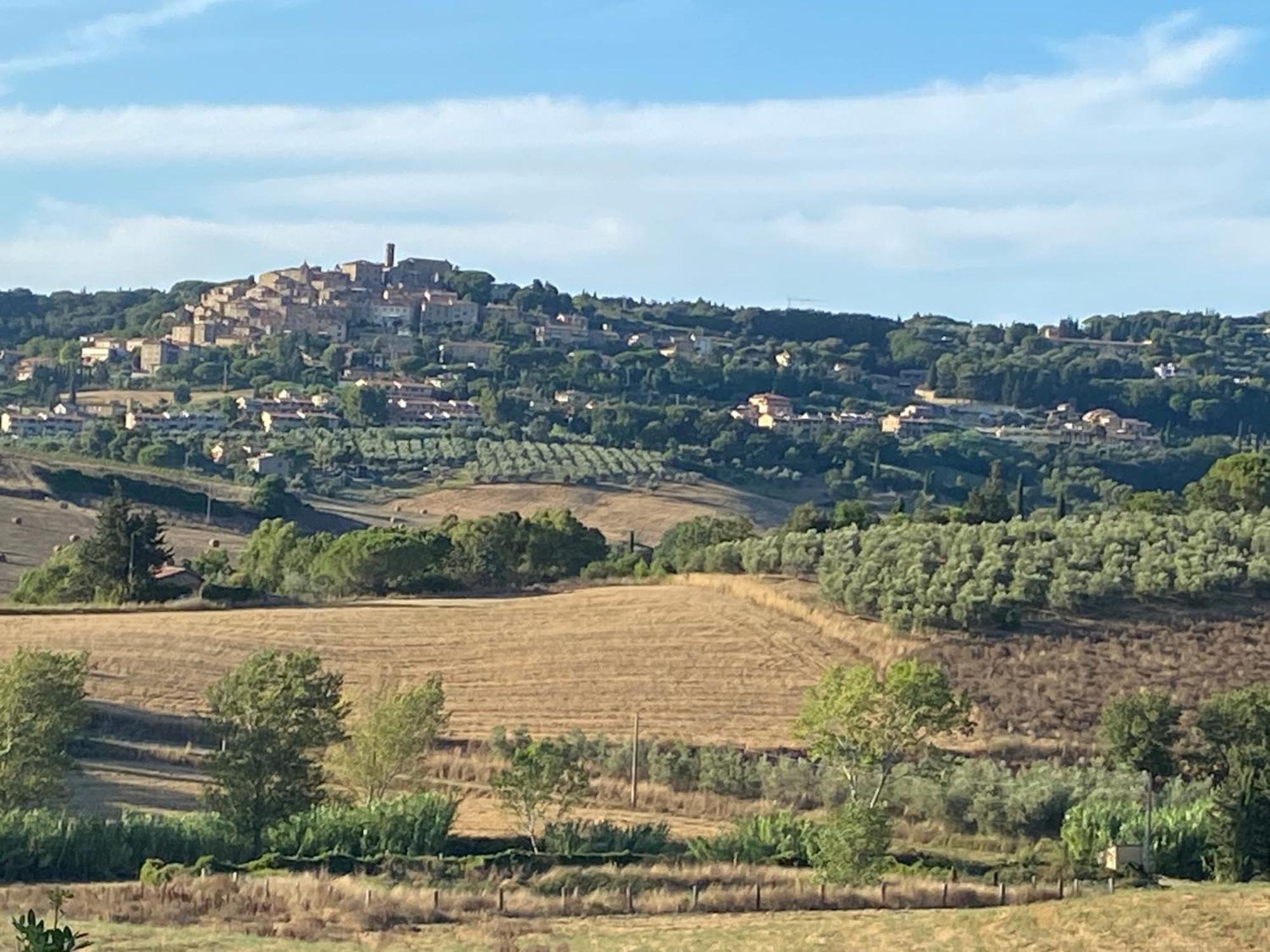Podere Campo Alle Serpi Bibbona Ngoại thất bức ảnh