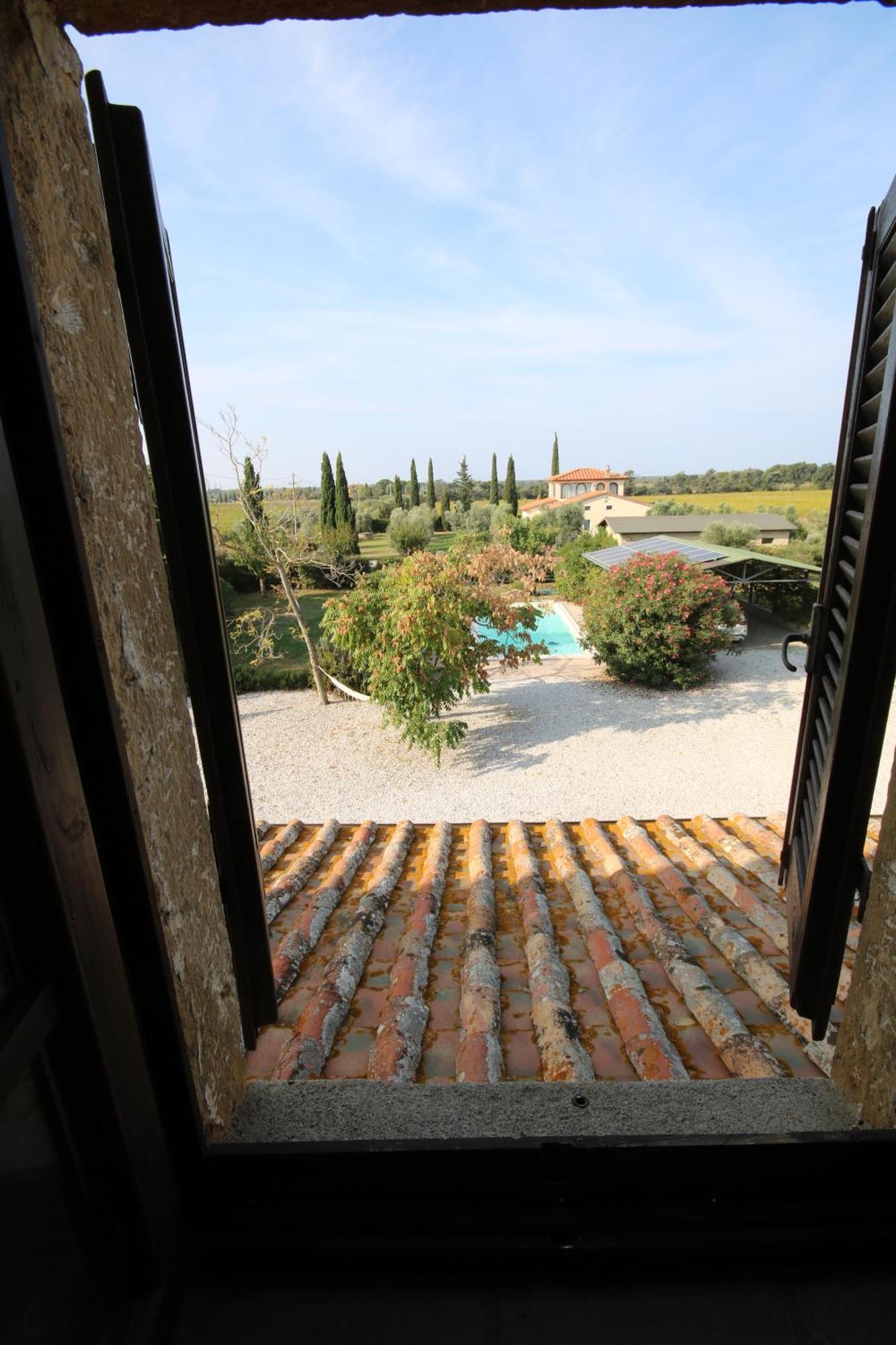 Podere Campo Alle Serpi Bibbona Ngoại thất bức ảnh