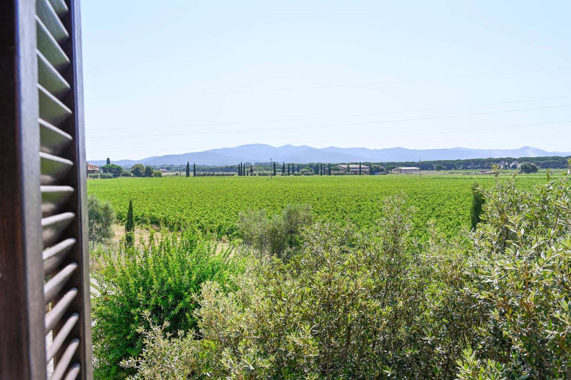 Podere Campo Alle Serpi Bibbona Phòng bức ảnh