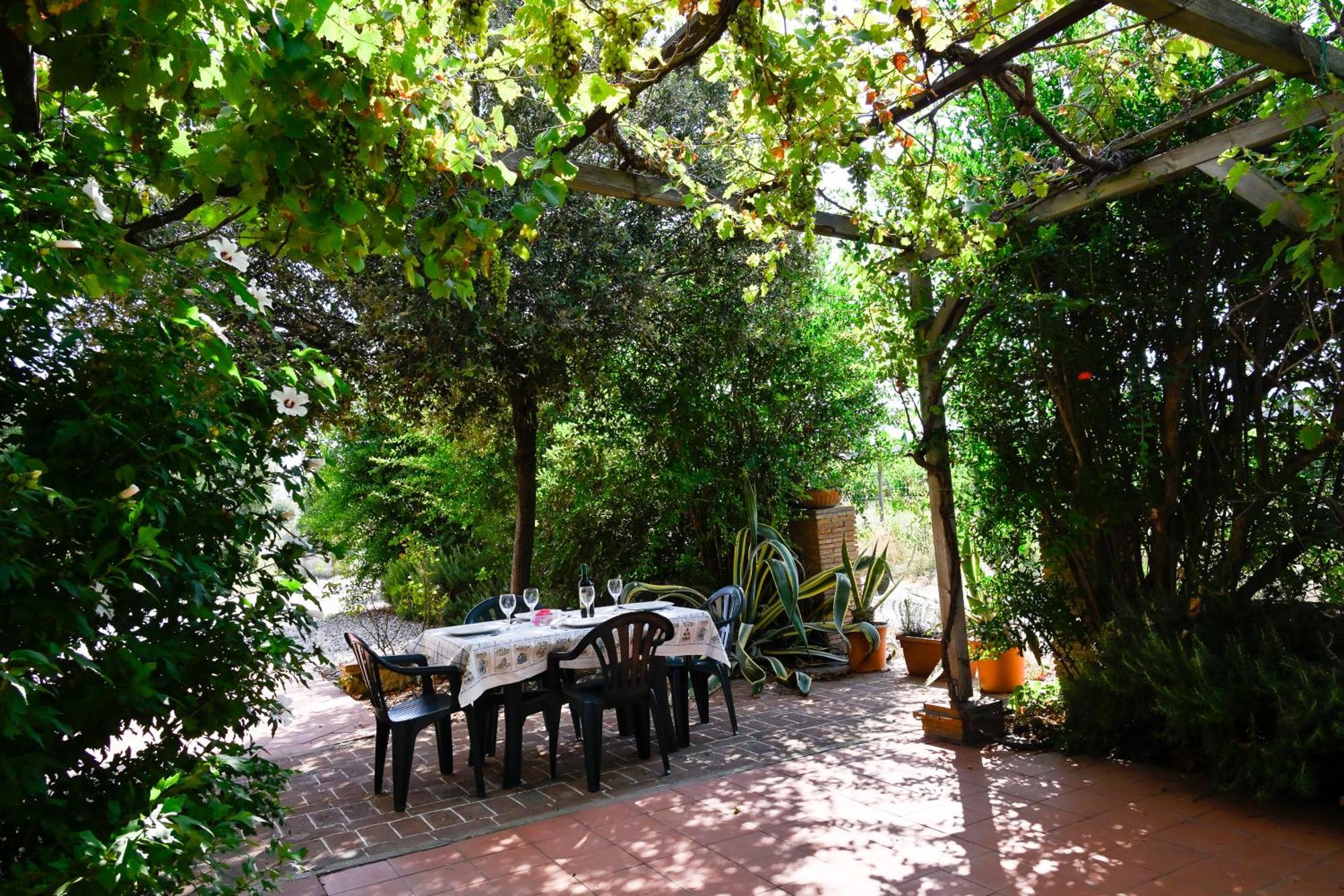 Podere Campo Alle Serpi Bibbona Phòng bức ảnh
