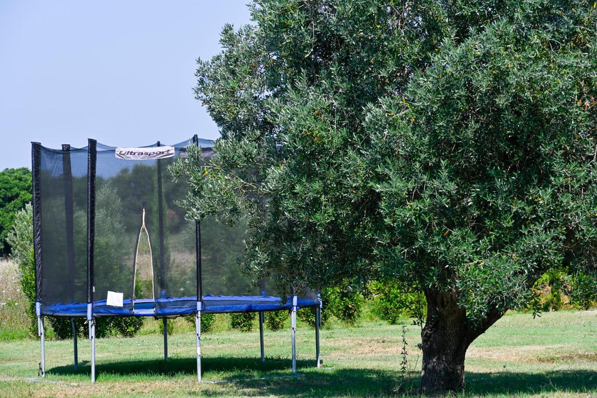 Podere Campo Alle Serpi Bibbona Ngoại thất bức ảnh