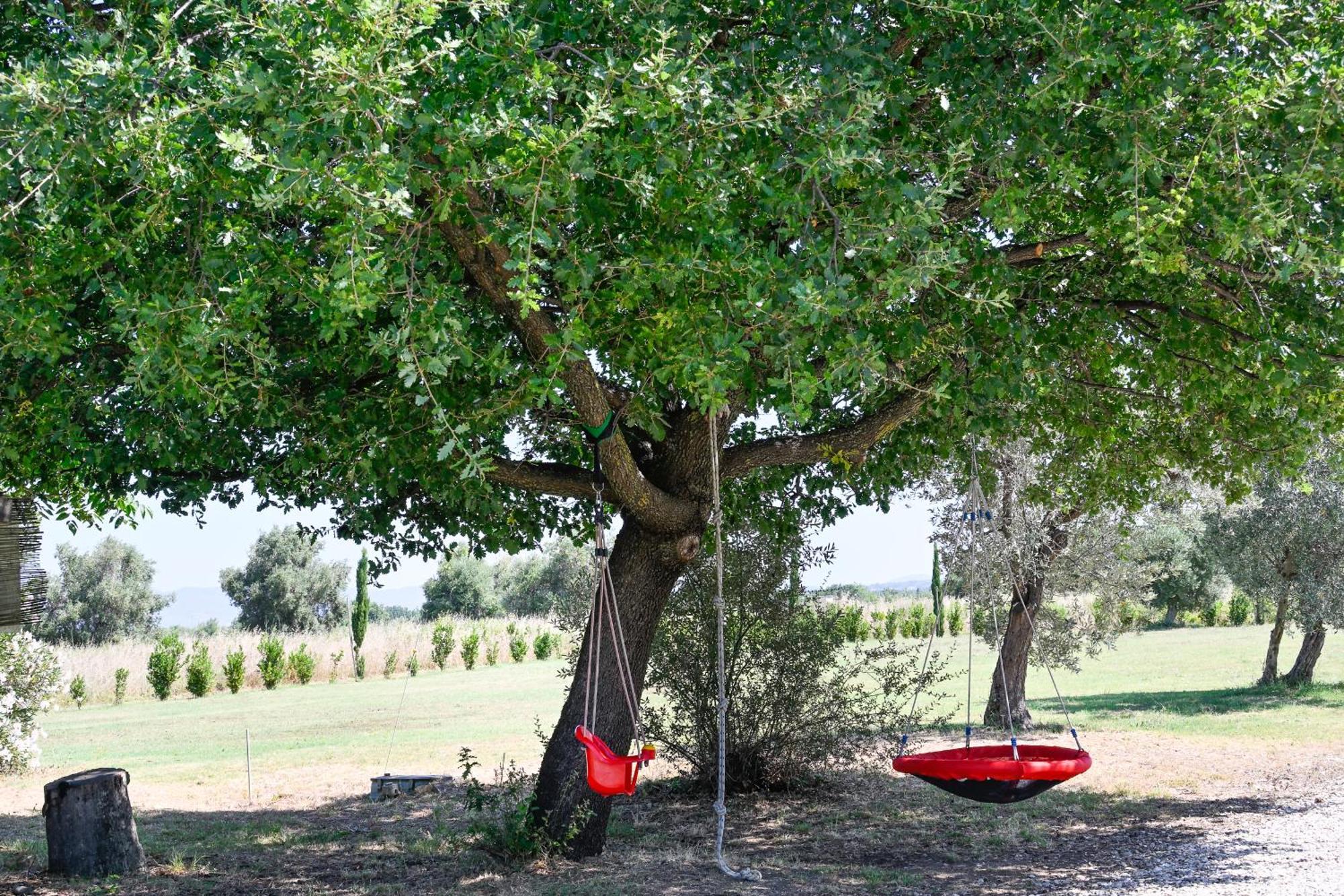 Podere Campo Alle Serpi Bibbona Ngoại thất bức ảnh
