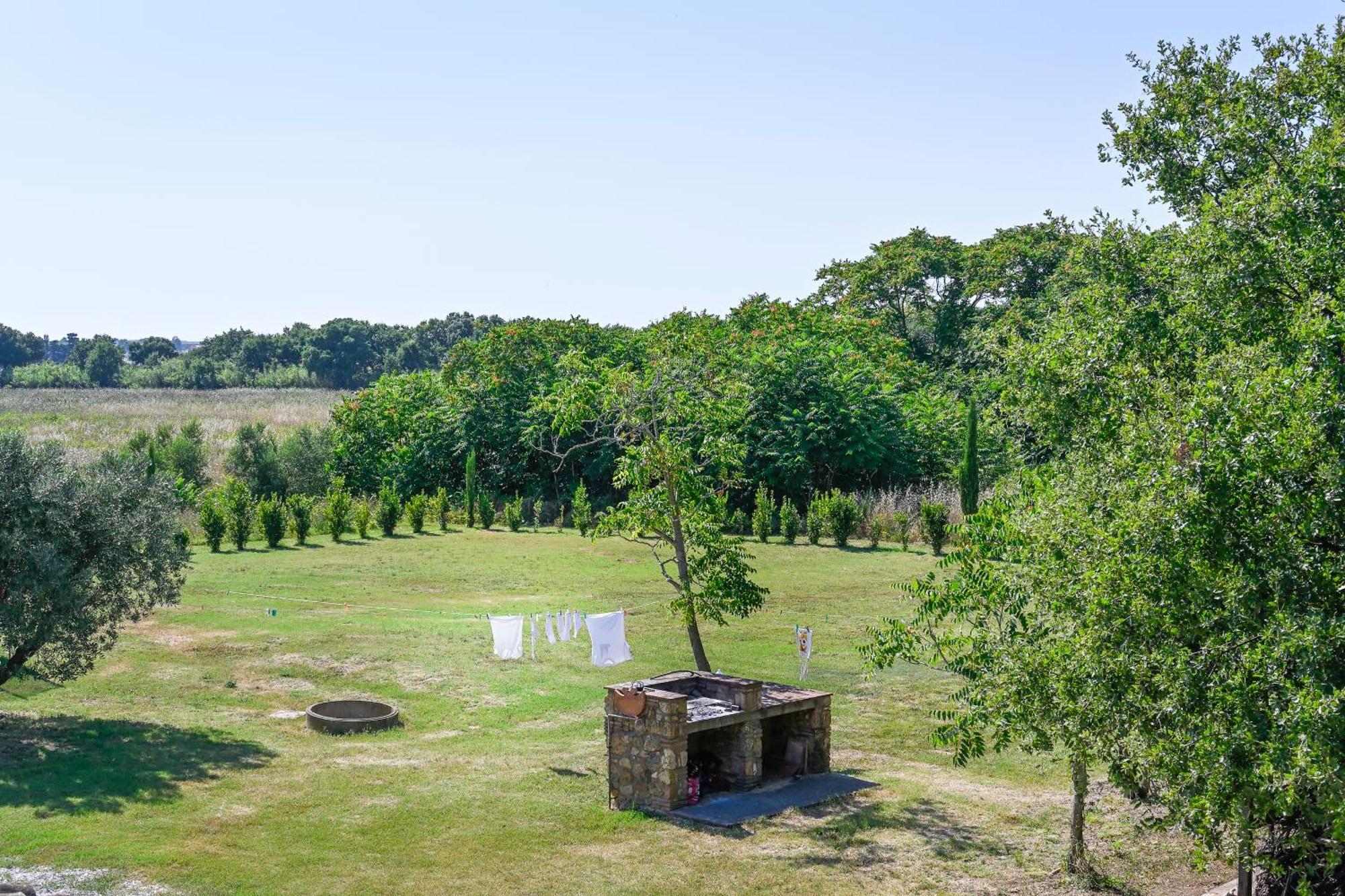Podere Campo Alle Serpi Bibbona Ngoại thất bức ảnh